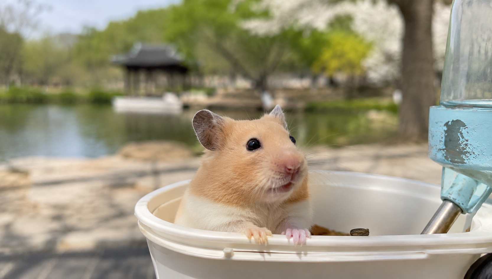 滚轮声停了